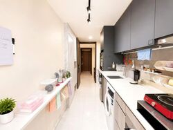 Riverfront Residences (D19), Apartment #560580641